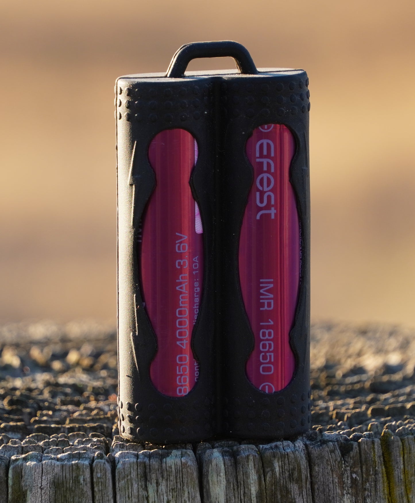 Double 18650 Battery Vault